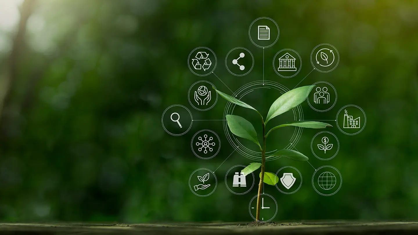 Featured image for “AI and the Environment: The Real Story and What It Means for Businesses”