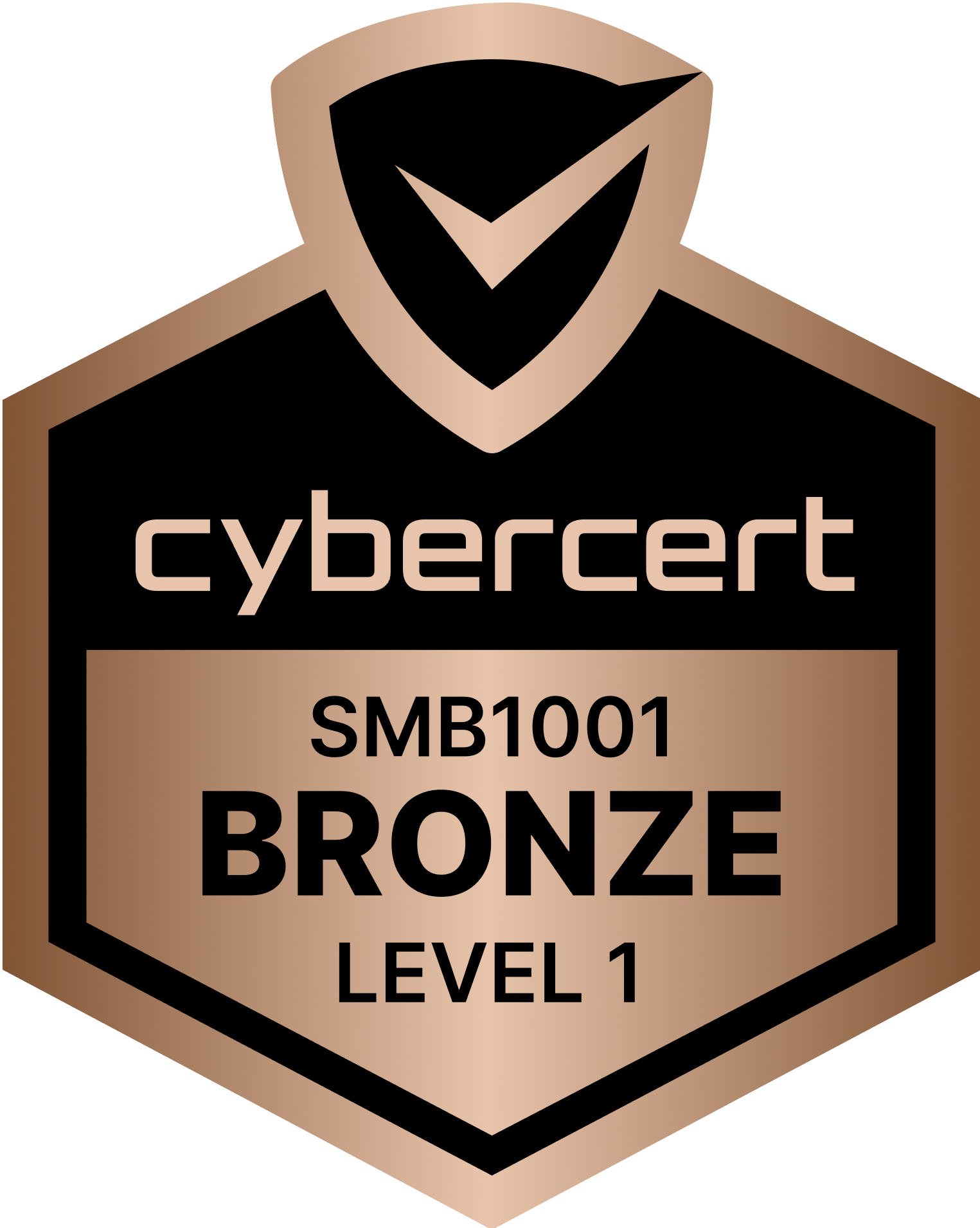 SMB1001 Bronze